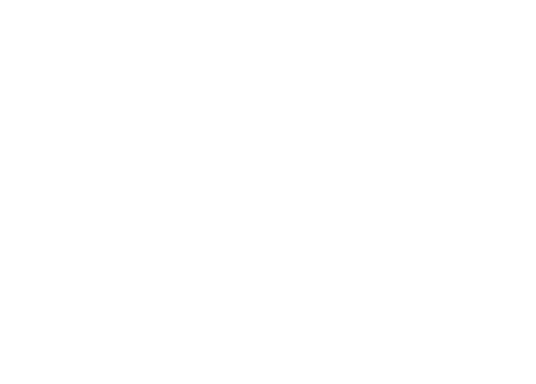 Two interlocking rings representing the social and the technical